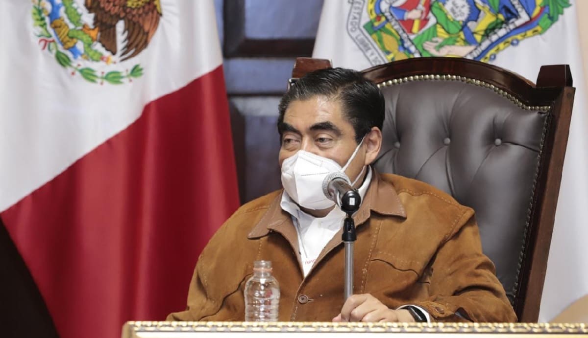 Miguel barbosa Flor del Bosque