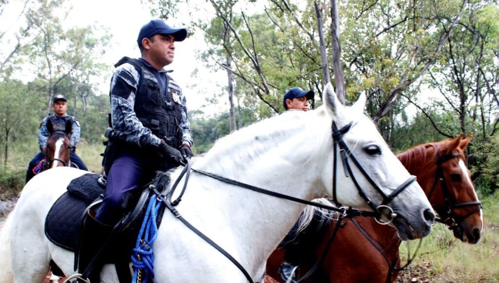 Se termino tala en Flor del Bosque 1