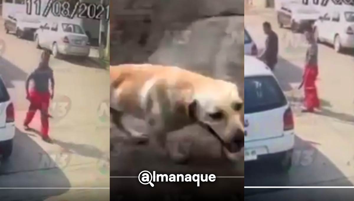 #JusticiaparaGüero: Matan a un perro a machetazos en municipio de Puebla (VIDEO) 3 Justicia para güero