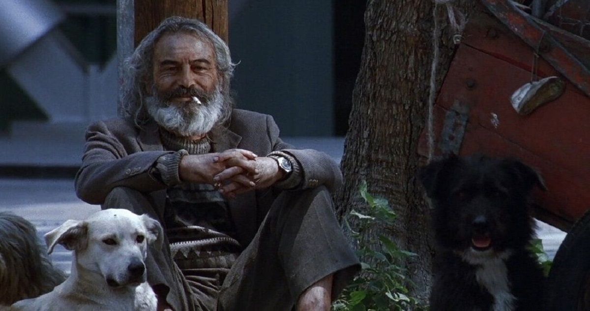 Amores perros llega a Netflix en 4K 3 amoresperros 02