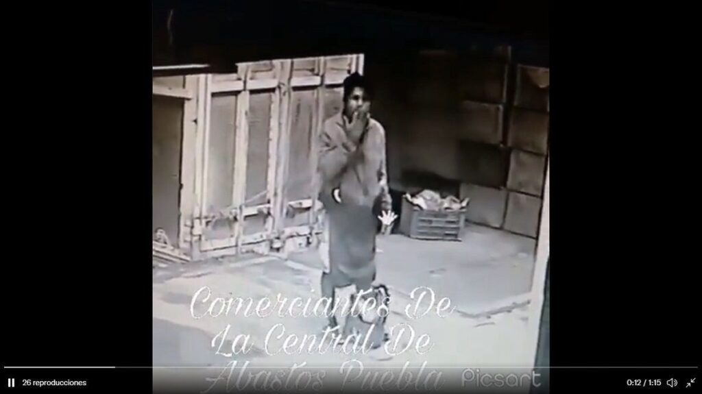 Localizan cinco ejecutados en puebla