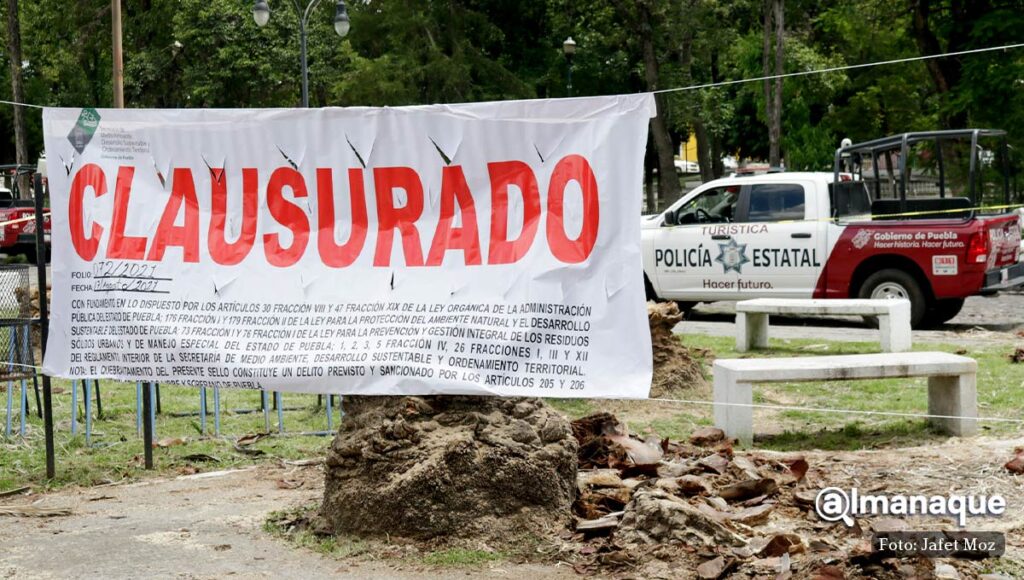 clausura tala de palmeras puebla 4