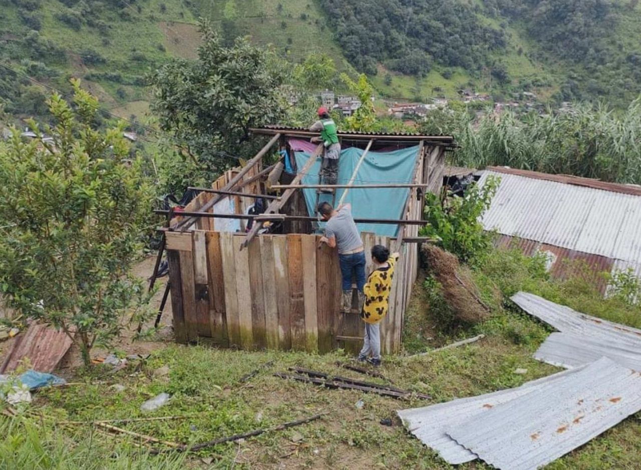 doctor pizza recolecta