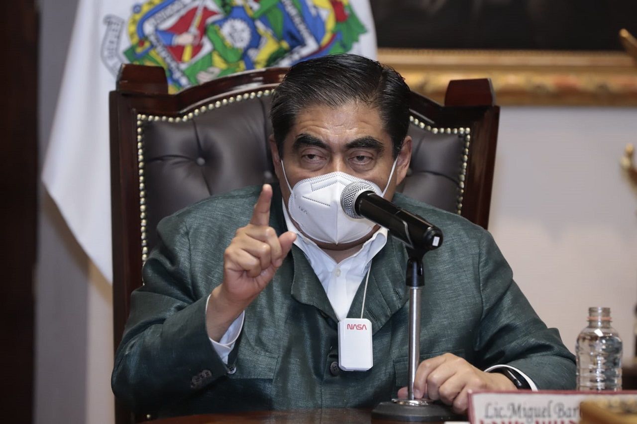Pide Barbosa a Medio Ambiente que investigue tala de palmeras de Analco por parte del Ayuntamiento 2 gobernador