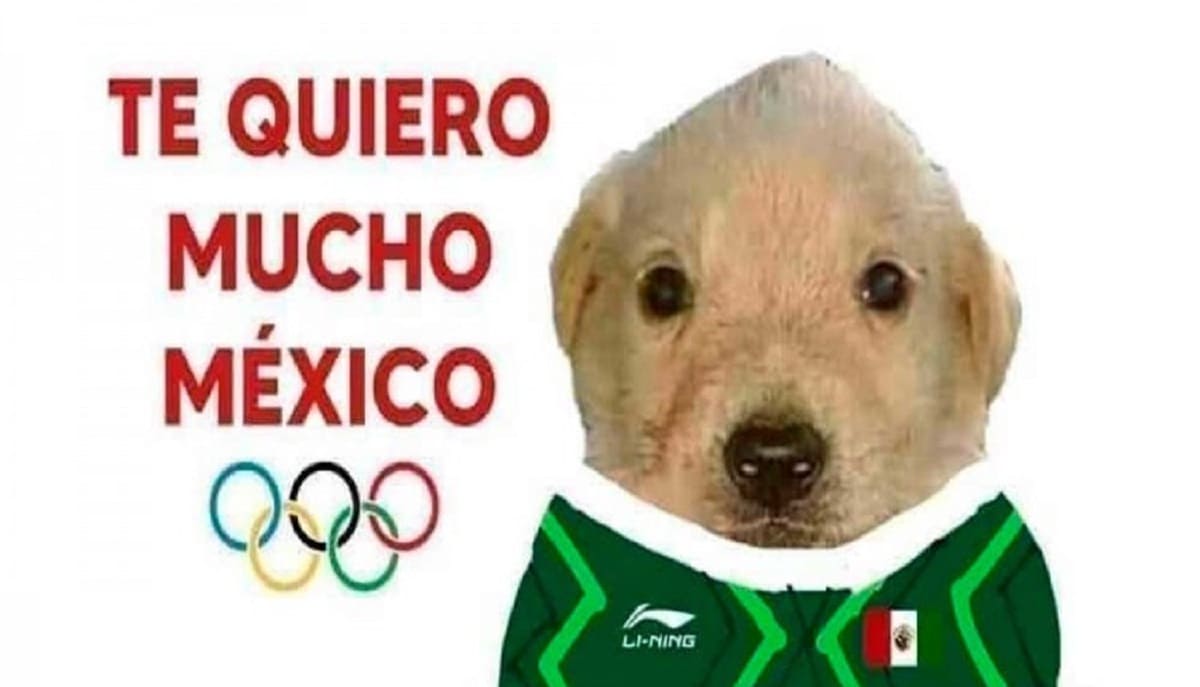Este es el perrito "te quiero mucho", el meme favorito para apoyar a los atletas mexicanos 1 meme perro 1