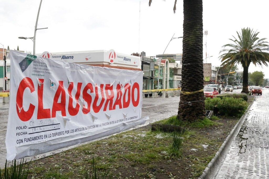 Pese a marcas, niega Claudia Rivera que iban a derribar palmeras de la avenida Juárez 4 El Gobierno de Puebla clausuró la zona donde se planeaba derrumbar a las palmeras de la Avenida Juárez