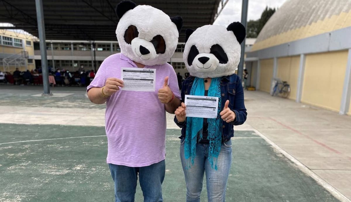 Una pareja de "pandas" se vacunan contra el COVID-19 en Cholula 1 pandas. 1