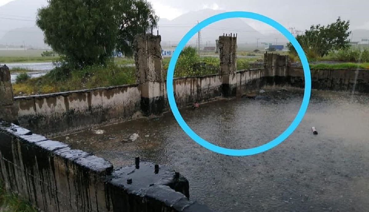 Varios perritos han muerto en una fosa de chapopote en San José Zacatepec 1 perritos chapopote 1