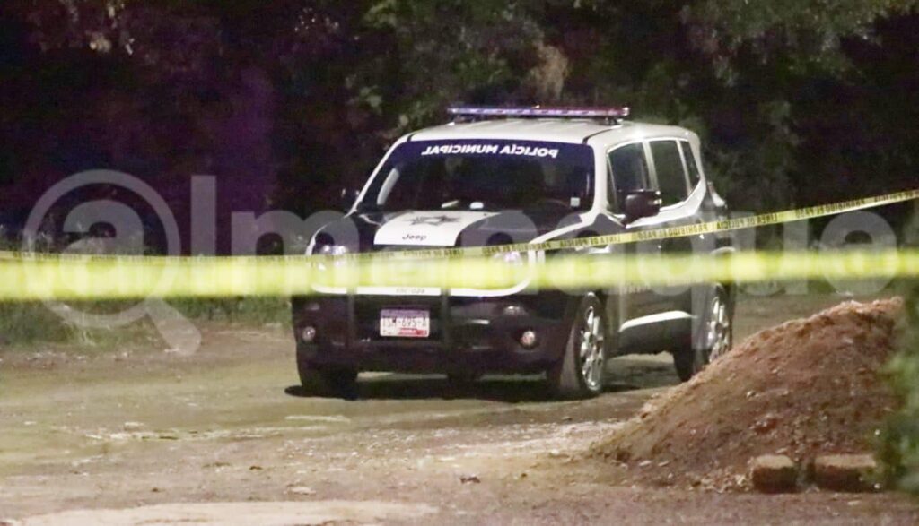 colonia Lomas Flor del Bosque.