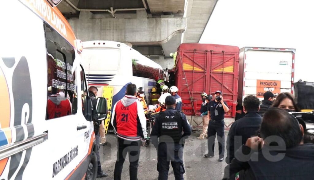 241551578 376349180618447 2478009576916411375 n