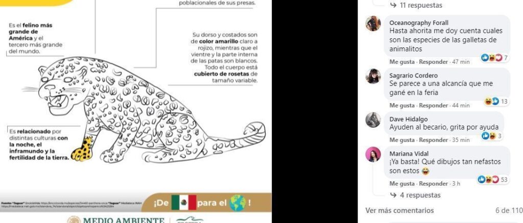 Dibujos de fauna en México de la Profepa desatan burlas y MEMES en redes 9 Jaguar