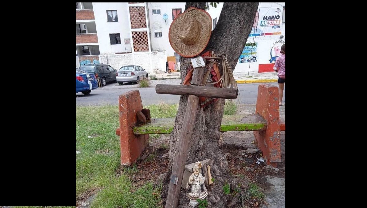 Colocan altar en honor a Francisco, el hombre que vivió dos años en un árbol de La Margarita 3 La Margarita 1