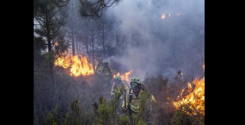 Megaincendio de Espana habria consumido casi 8 mil hectareas de bosque
