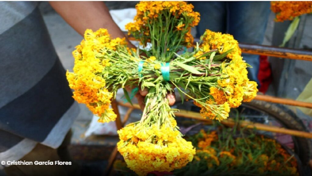 el Diablo anda suelto este 28 y 29 de septiembre