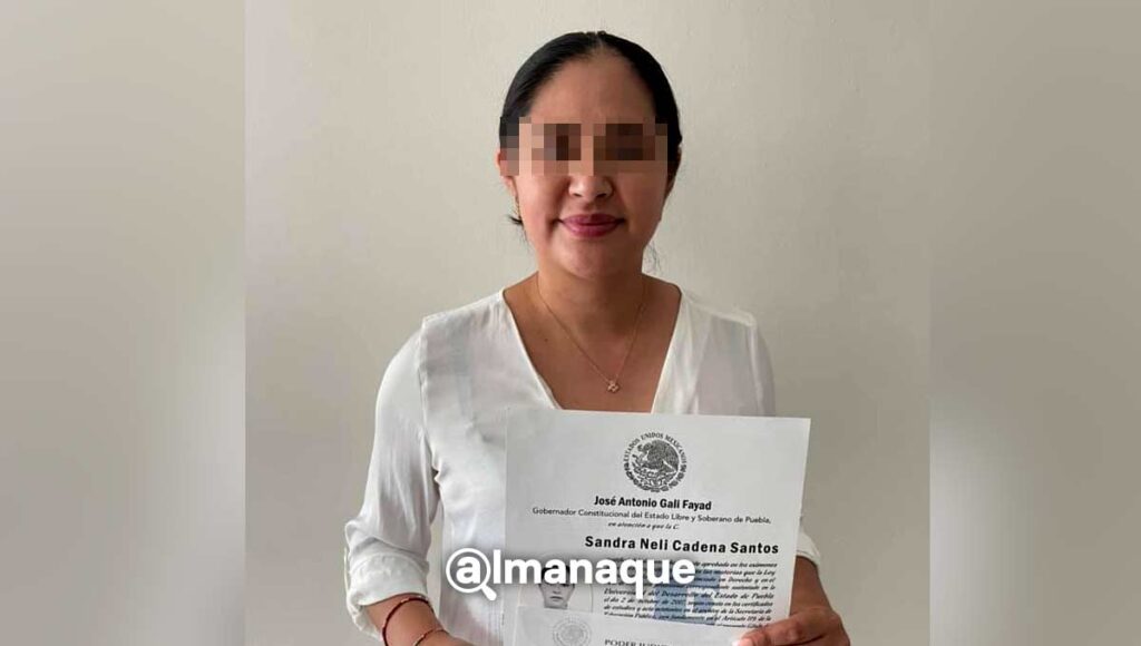 diputada sandra neli