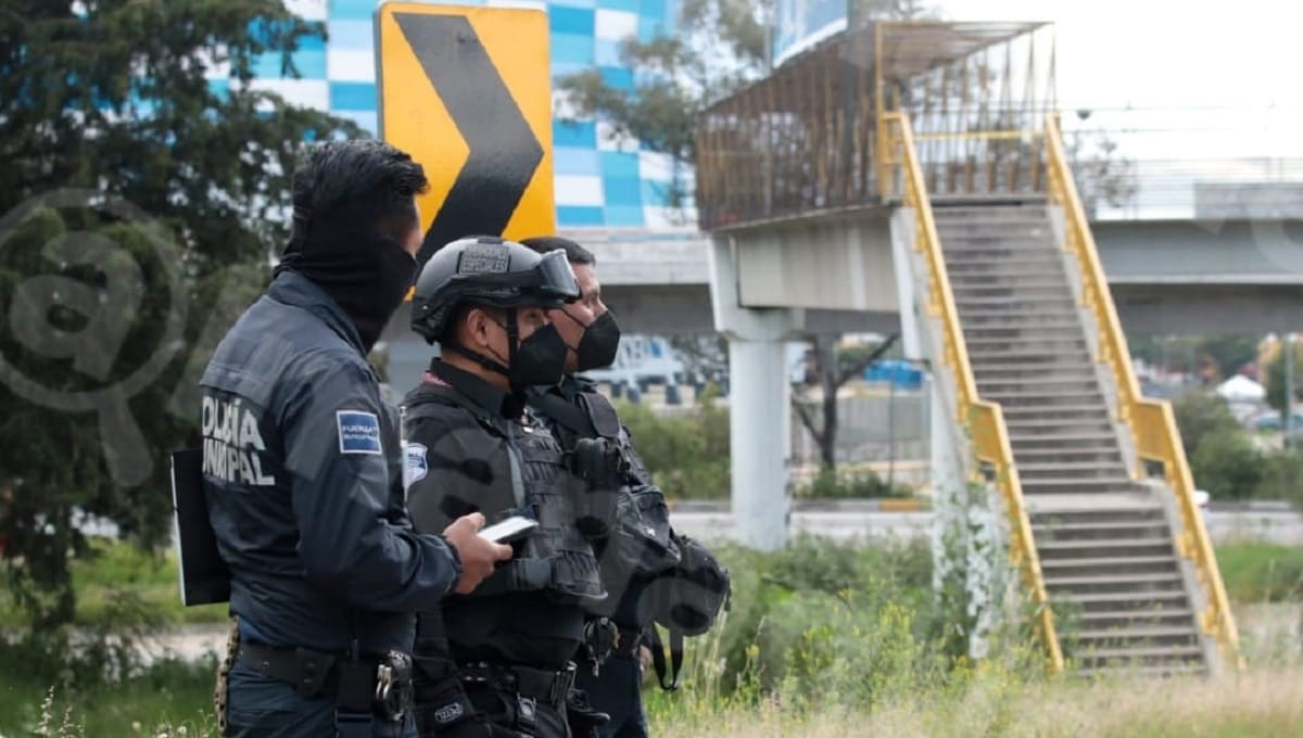 Feminicidio: Hallan cuerpo de una mujer bajo el puente peatonal de la México-Puebla 4 feminicidio 2