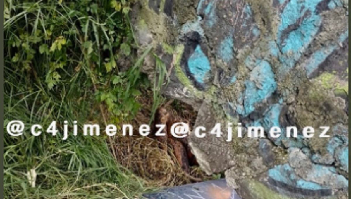 Hallan restos de una mujer en Tlalnepantla; podría ser una desaparecida de 72 años 2 feminicidio