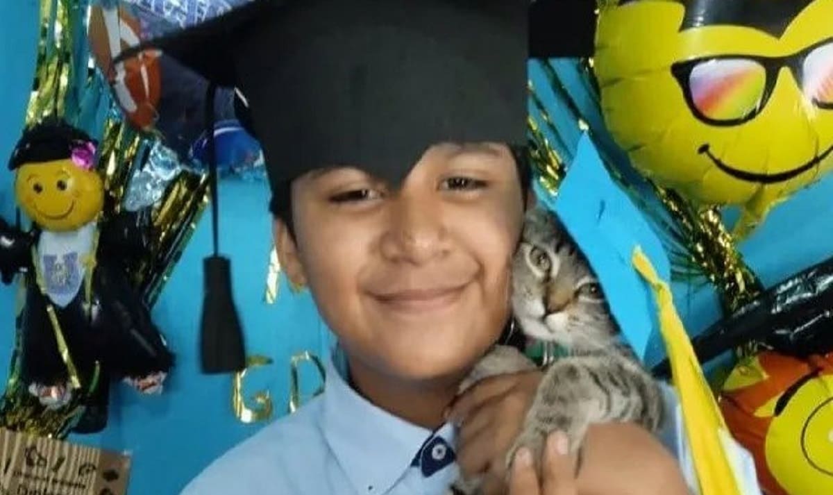VIRAL: Un niño y su gatita se gradúan juntos; lo acompañó a todas sus clases virtuales 1 gatita graduada 1