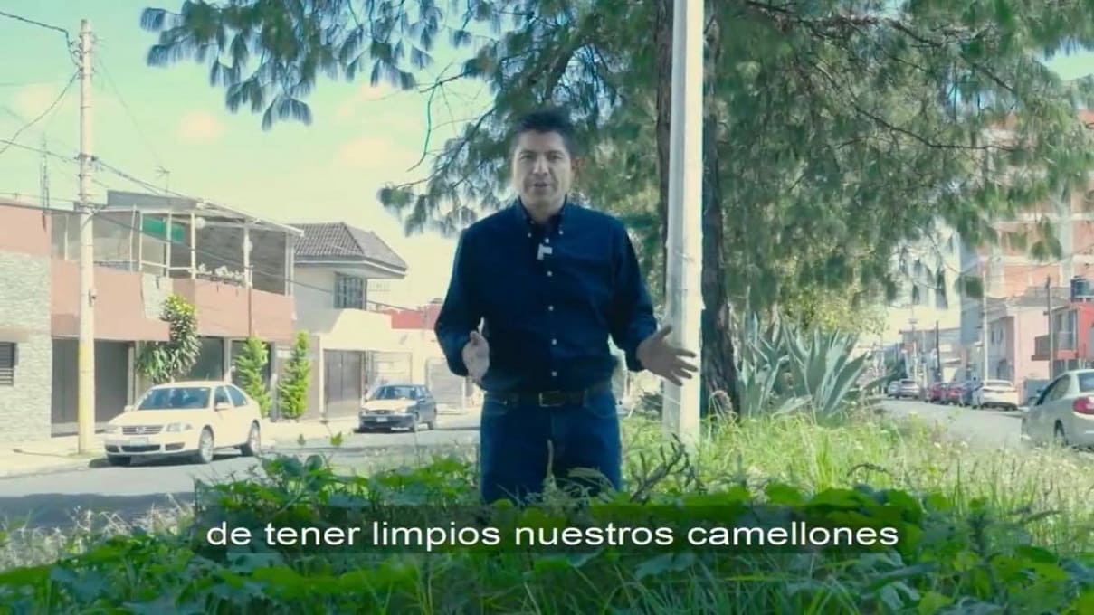 lalo rivera camellones