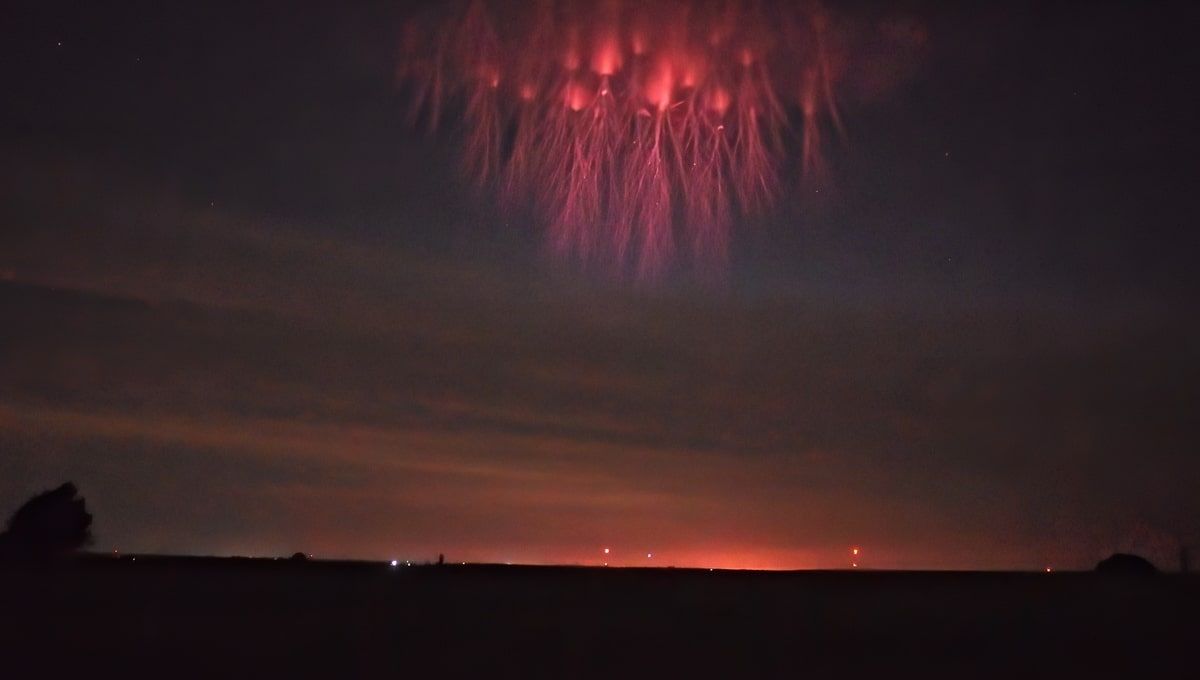 paul smith red sprite 4