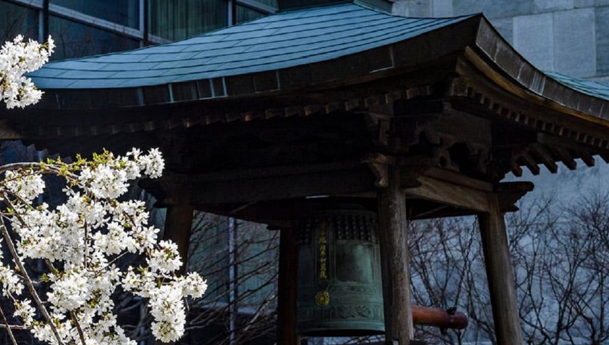 Día Internacional de la Paz, ¿Por qué se celebra el 21 de septiembre? 2 peace bell 1