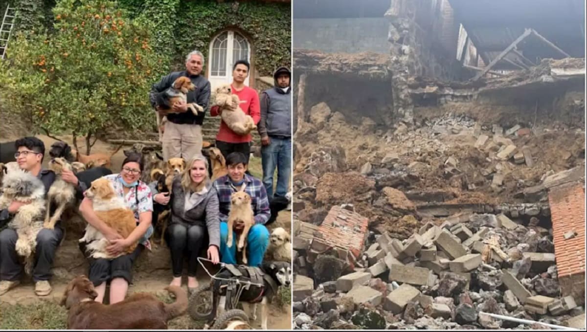 Albergue de perritos queda sepultado tras derrumbe en Xochimilco; van 4 "lomitos" muertos 1 perritos derrumbe