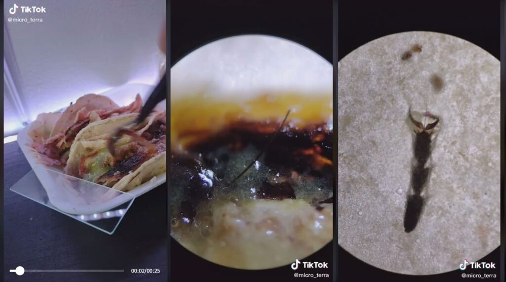 Hakuna matata: Comer tacos callejeros te podría llevar a ingerir patas de mosca 2 tacos callejeros