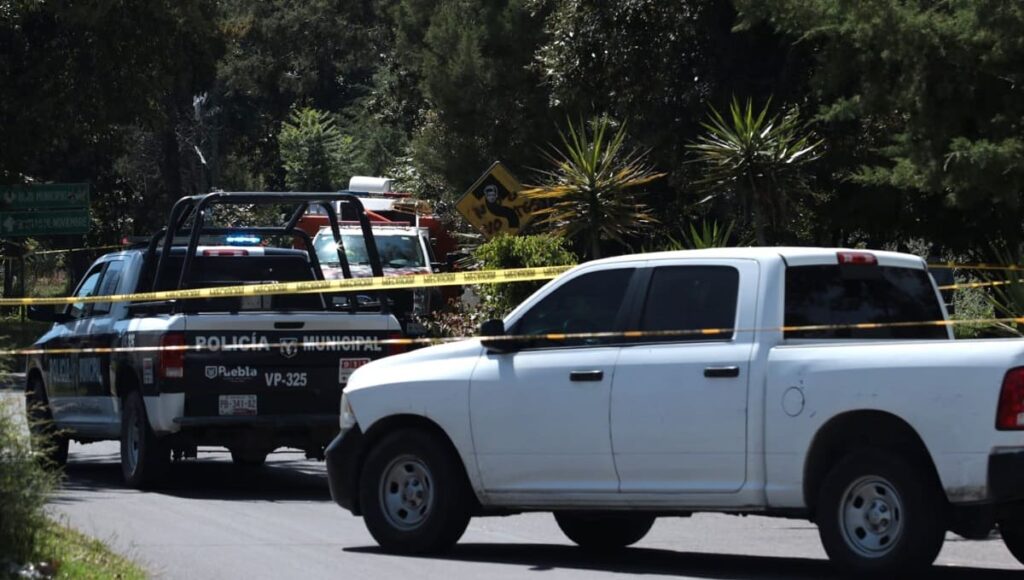 Bosques de San Sebastian 1