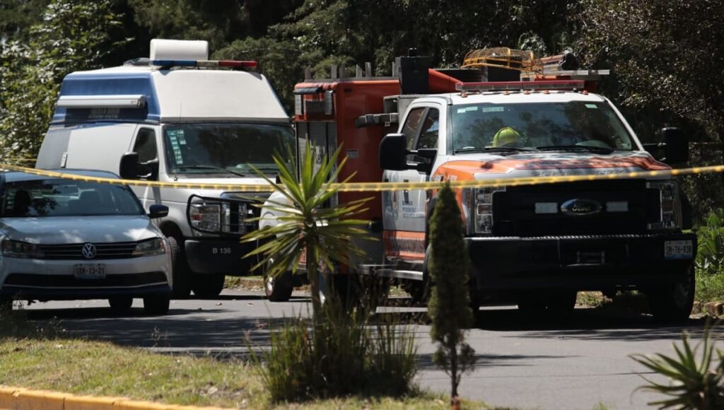 Bosques de San Sebastián