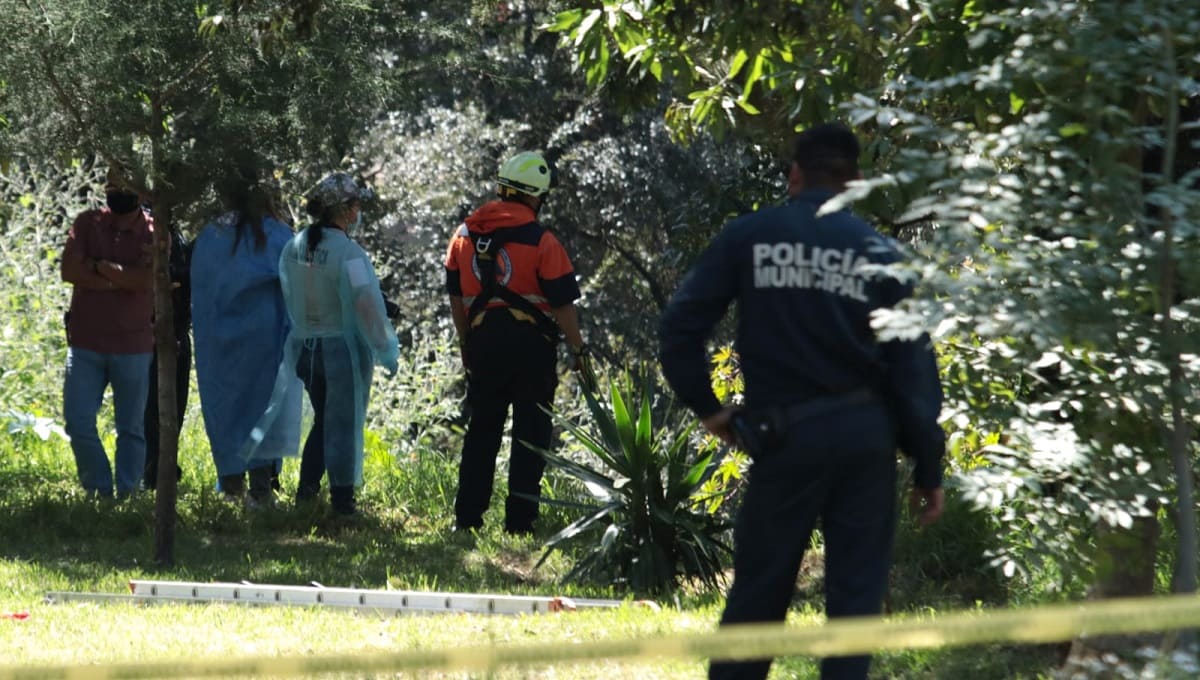 Bosques de San Sebastian2 1