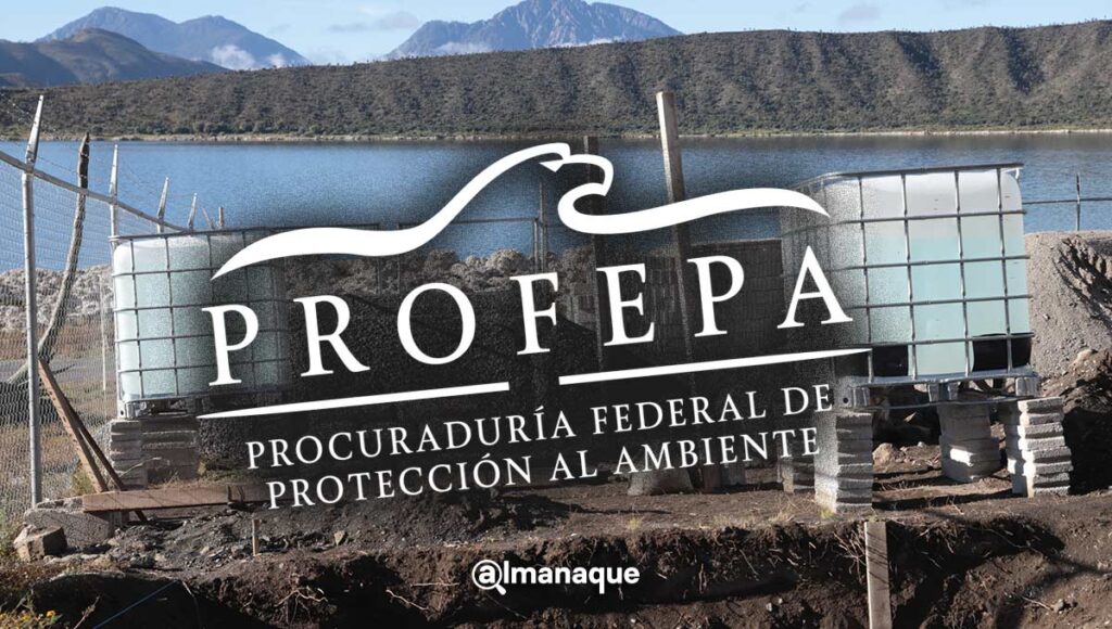Gobierno de Puebla presentara queja contra delegado de Profepa alchichica