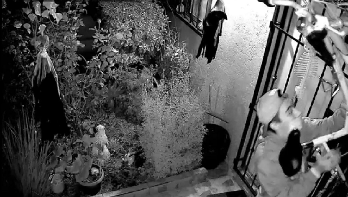 asaltante la libertad