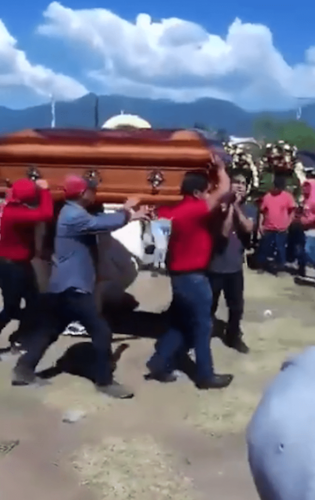 botarga de queso oaxaca