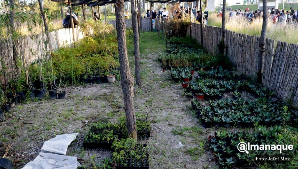 eduardo Rivera rescate parque Amalucan 3