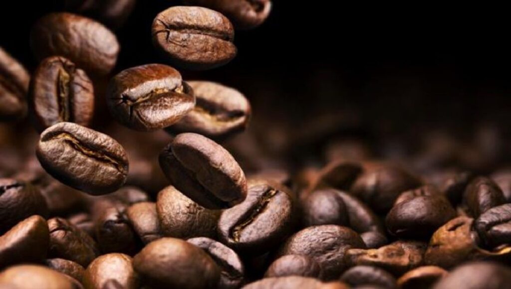 granos de cafe