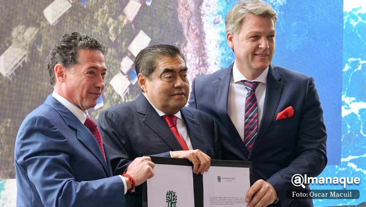 inauguracion Banyan Tree 9