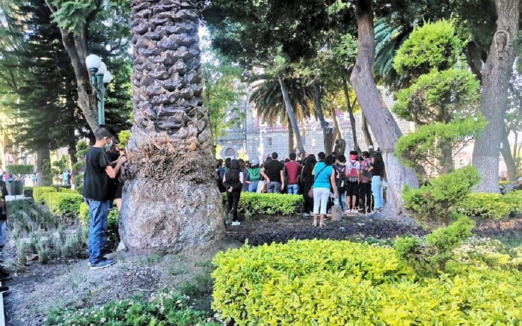 jardineras zocalo de Puebla