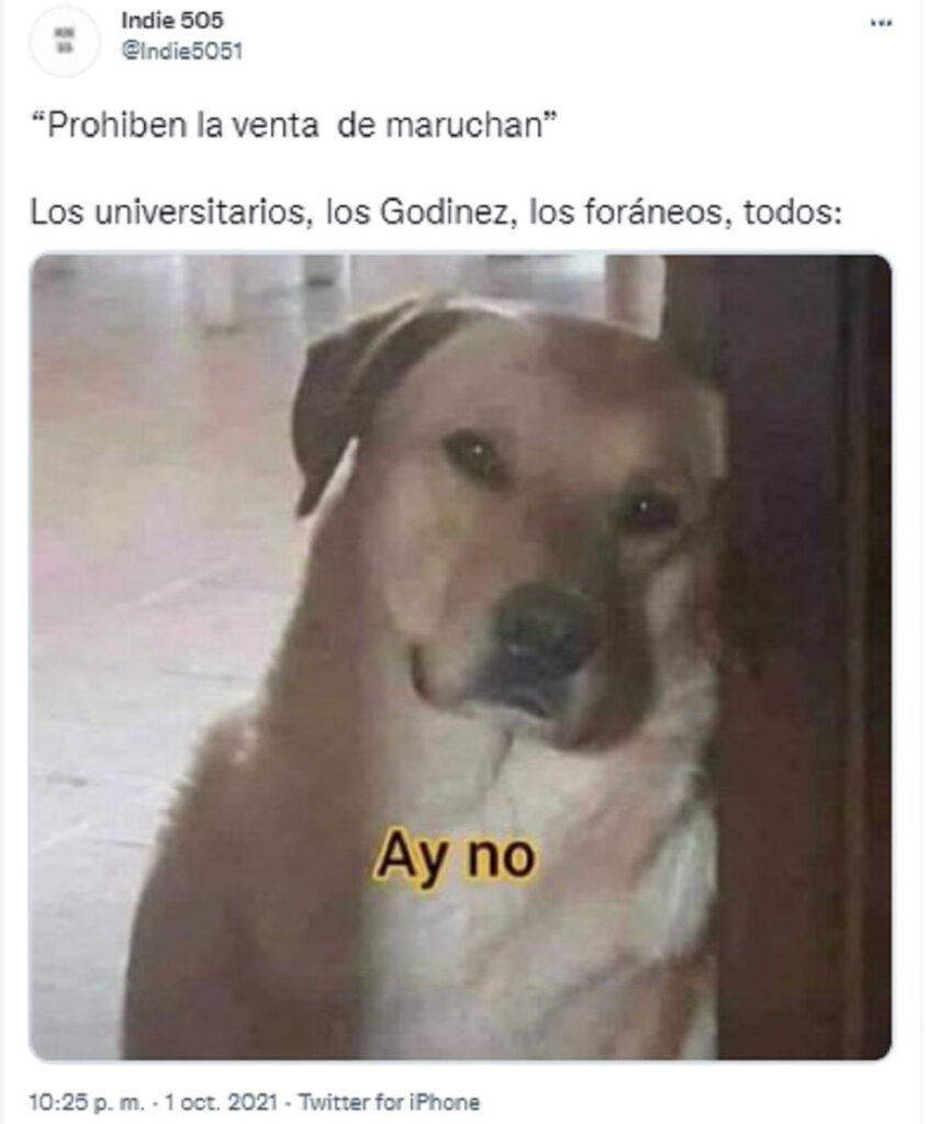 memes sopas instantaneas 03