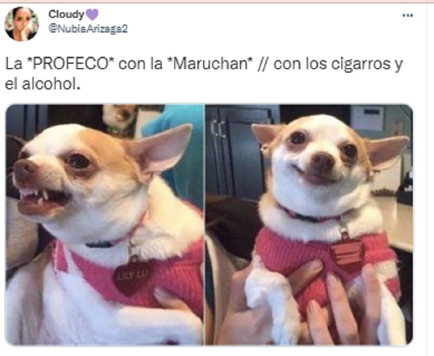 memes sopas instantaneas 08