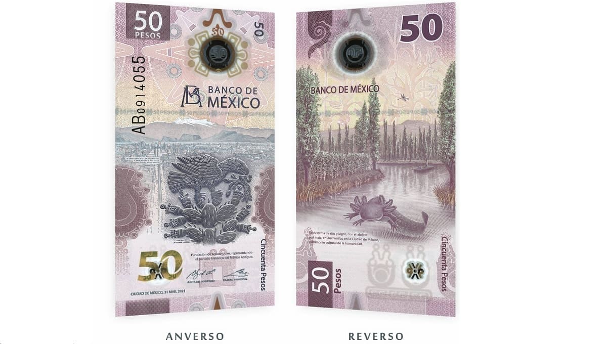 Adiós Morelos: Estos son los nuevos billetes de 50 pesos en México 2 nuevo billete 50 pesos