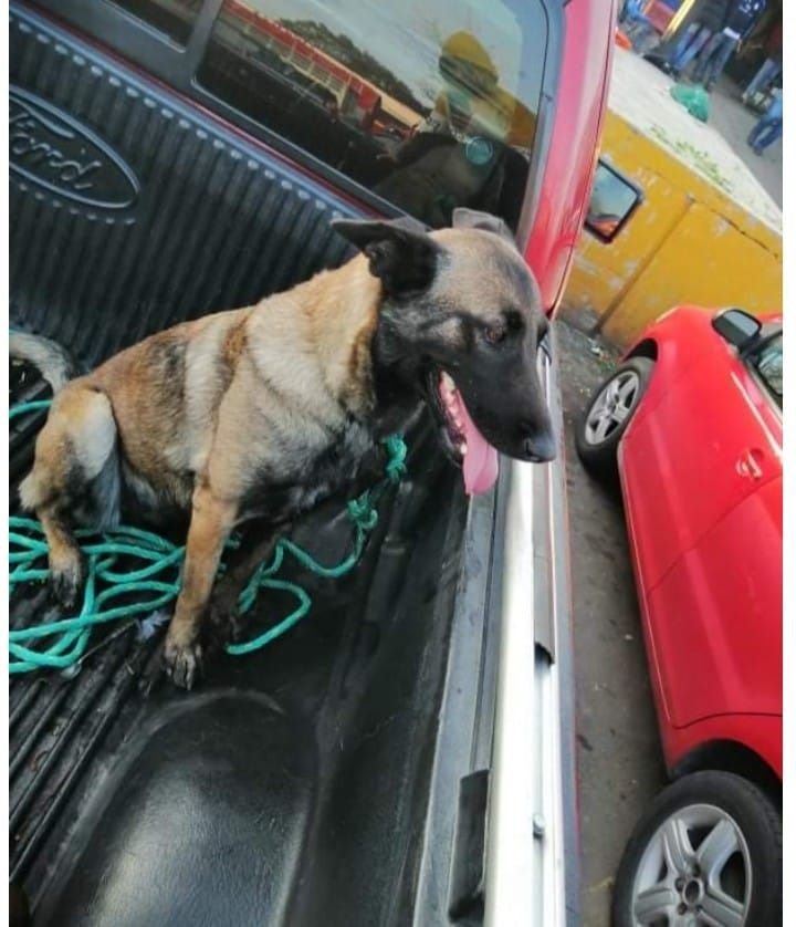 Explosión en San Pablo Xochimehuacán