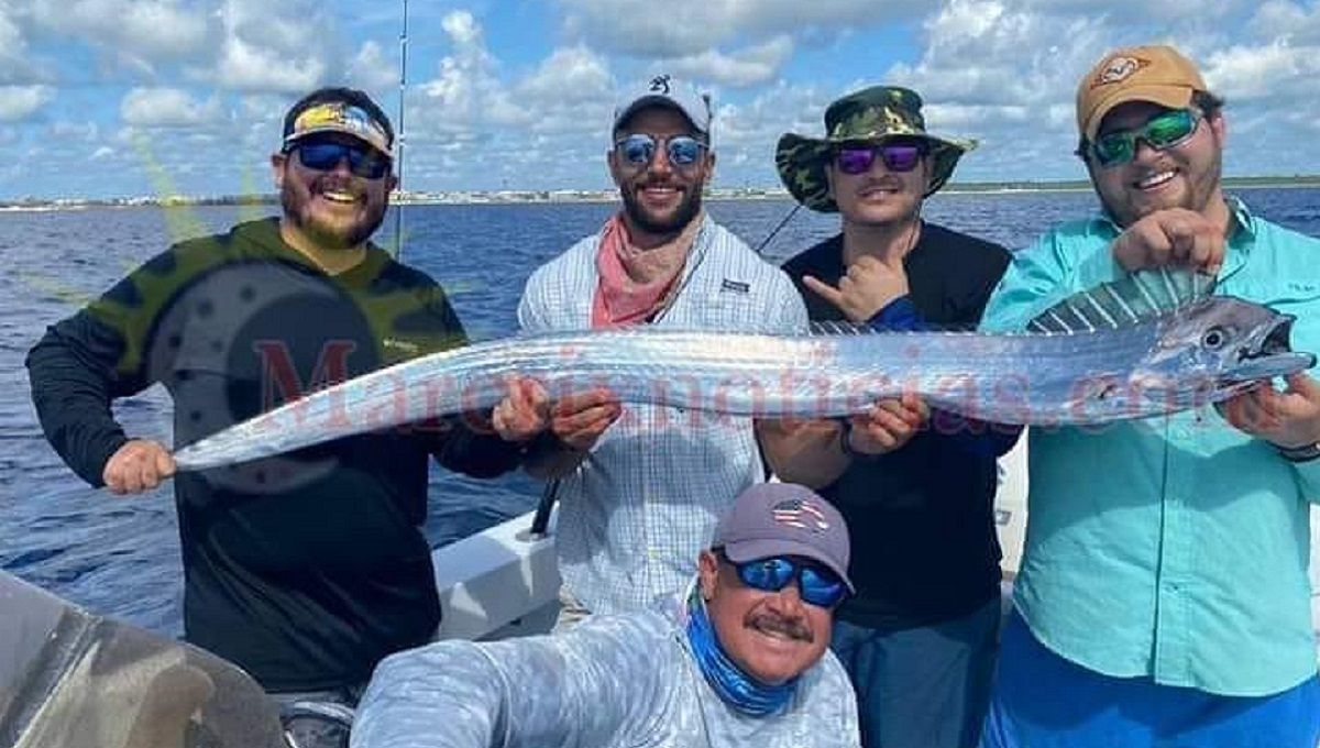 Hallan pez remo que "predice sismos y huracanes" en Cancún 3 pez remo