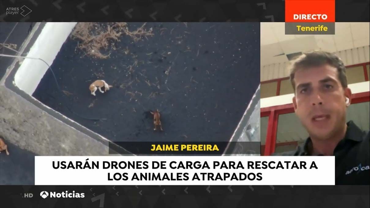 Rescatarán con drones a perritos atrapados por lava del volcán de La Palma 2 rescate perritos la palma