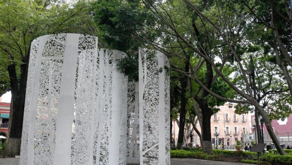 se cae arbol en el zocalo de Puebla min