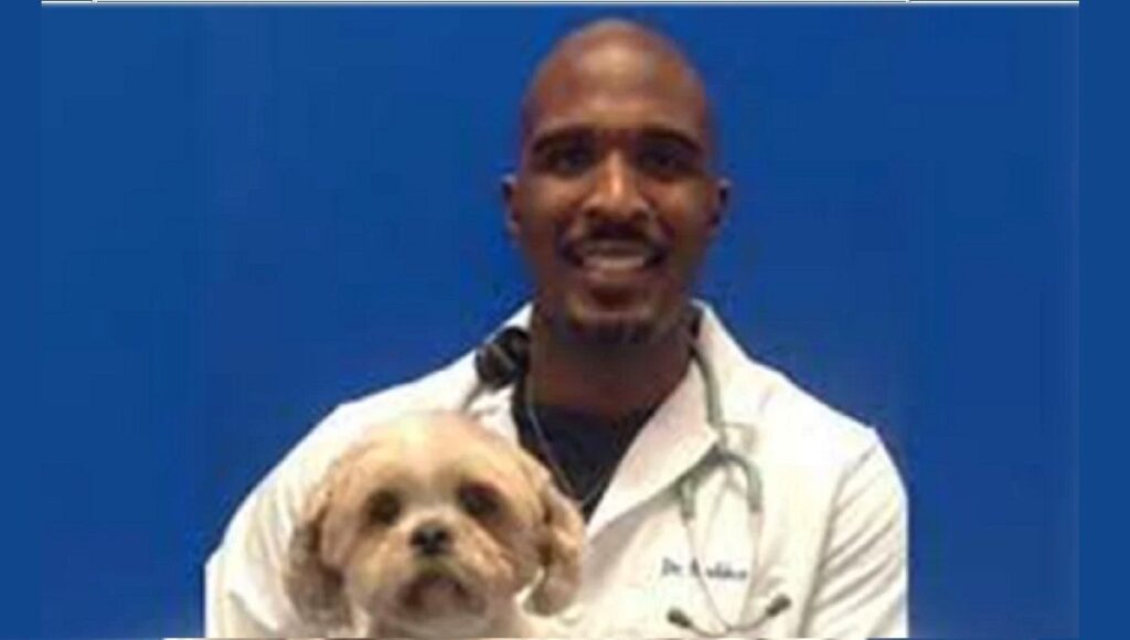 veterinario