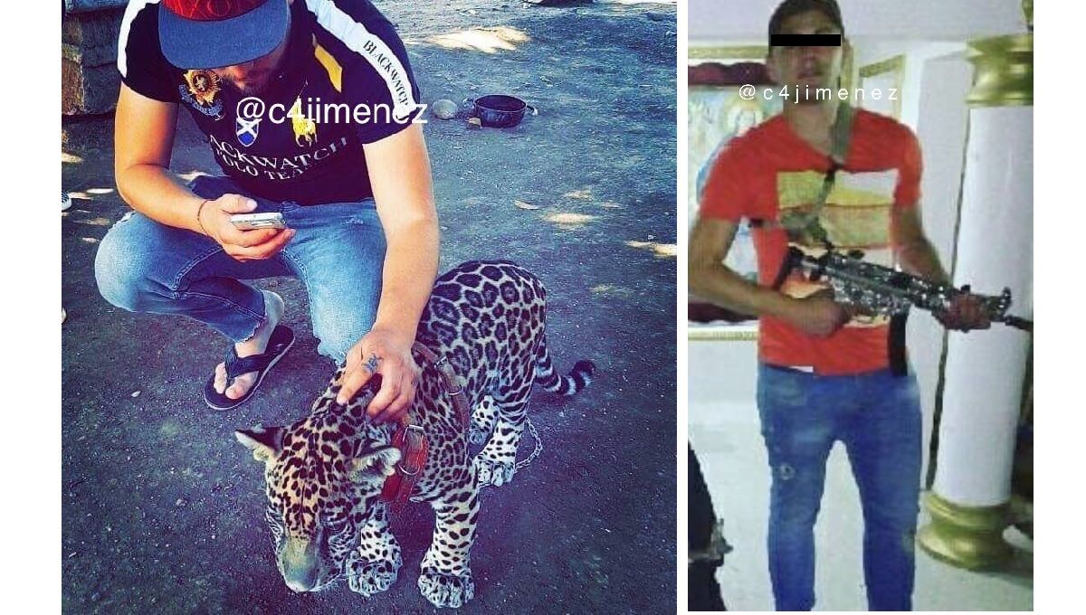 FOTOS: "El Alemán", responsable del ataque en el AICM presumía animales exóticos y armas en redes sociales 3 yanik