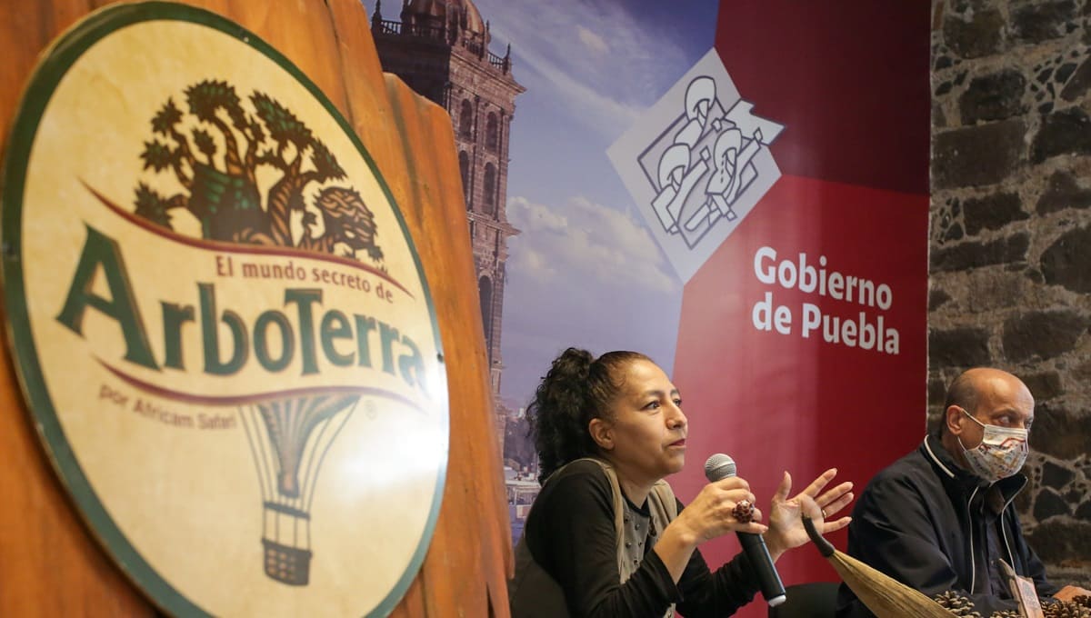 Arboterra presenta experiencia nocturna y multisensorial dentro del Parque Ecológico 3 Arboterra experience 2 1
