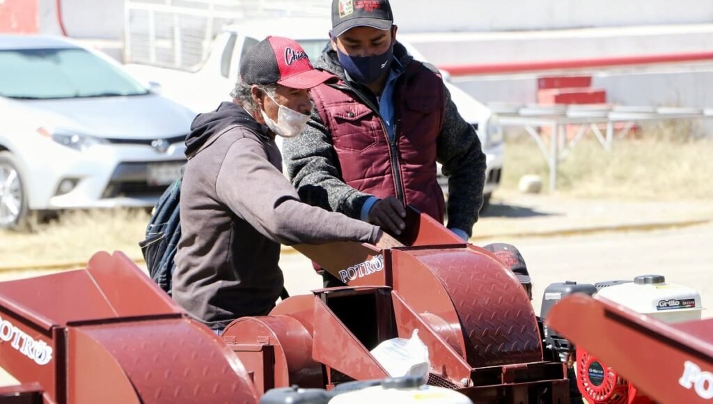 Barbosa campo firme 1