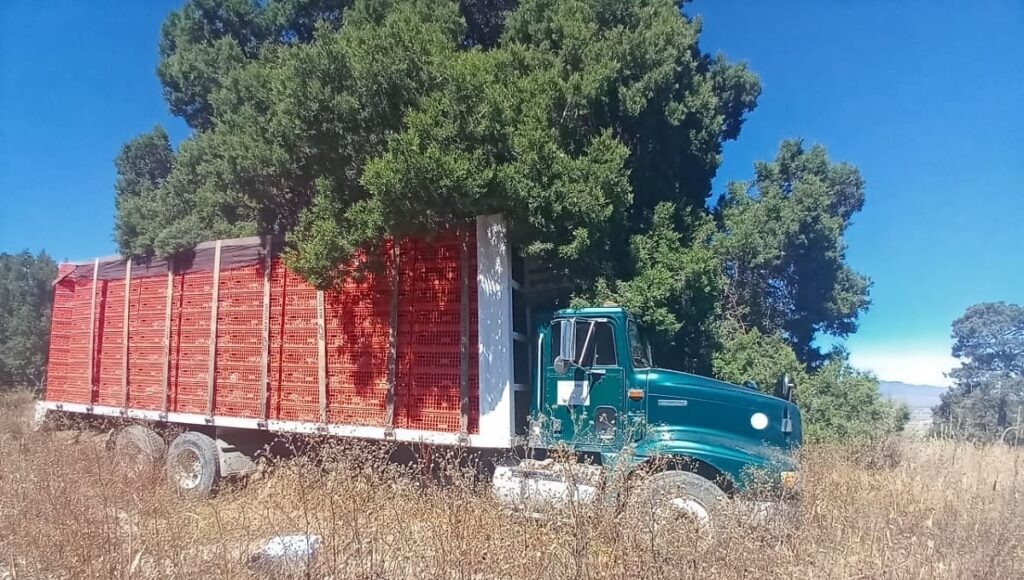 SSP camion cargado de pollo 1