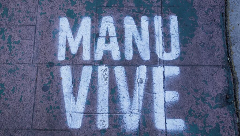 Vive Manu 1